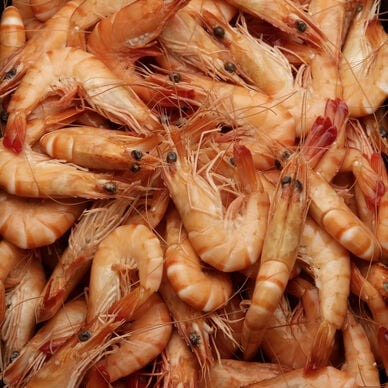 crevettes cuites 25/35