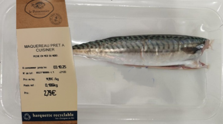 maquereau prêt a cuisiner