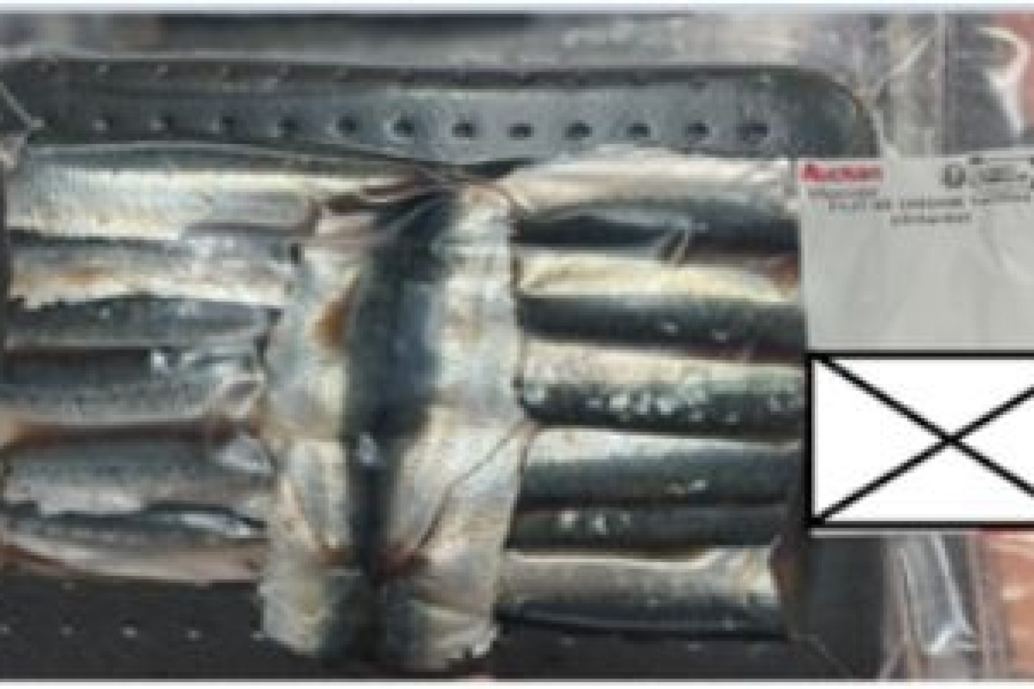 filet de maquereau sous-vide