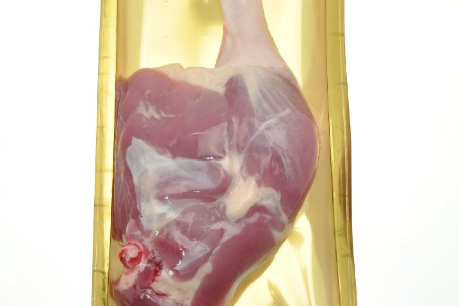 cuisse de canard skin x1