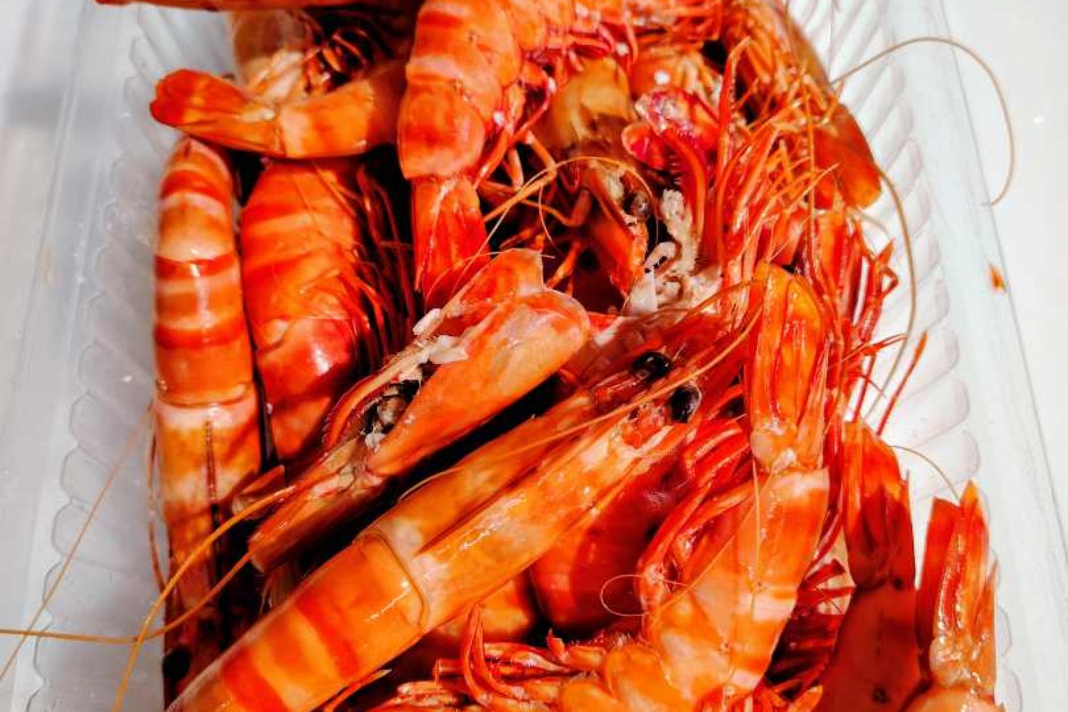 crevettes cuites de pêche 10/20