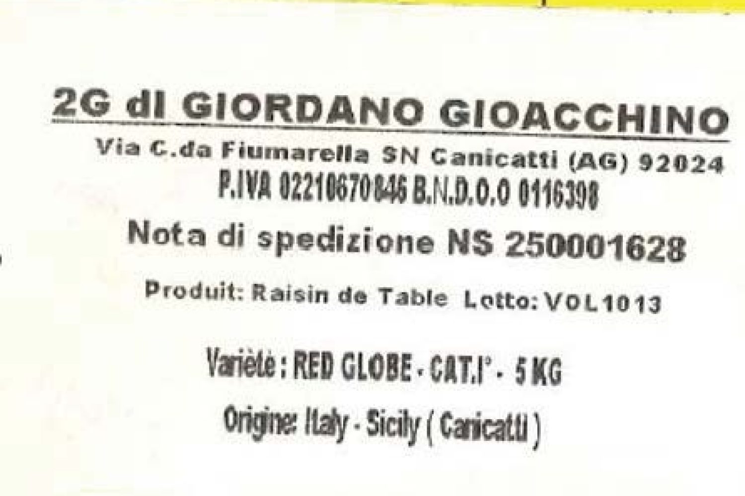 raisin de table - variété red globe - origine italie