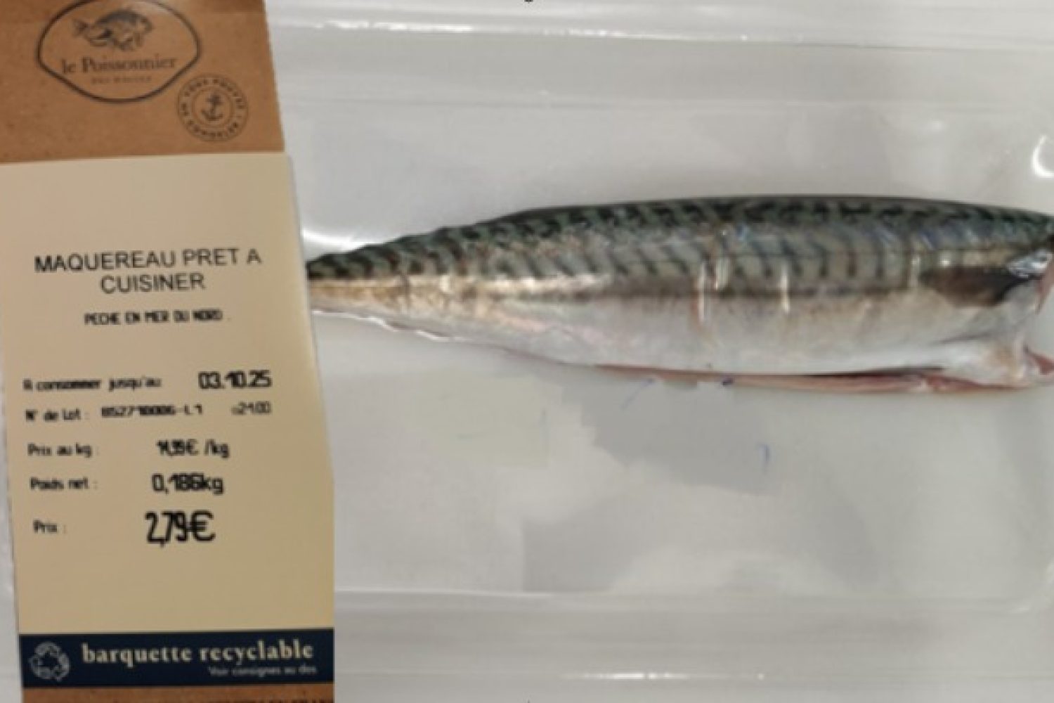 maquereau prêt a cuisiner